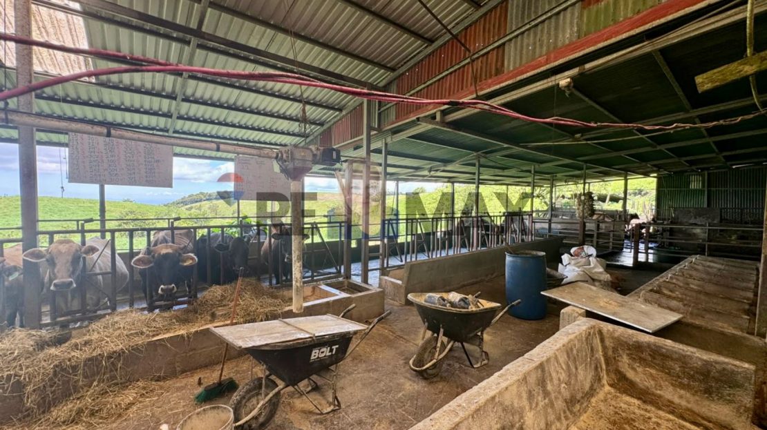 Costa Rica Real Estate