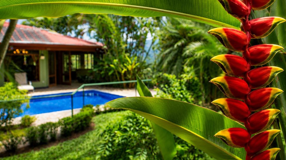 Home and guest home in tropical paradise in Vista Atenas