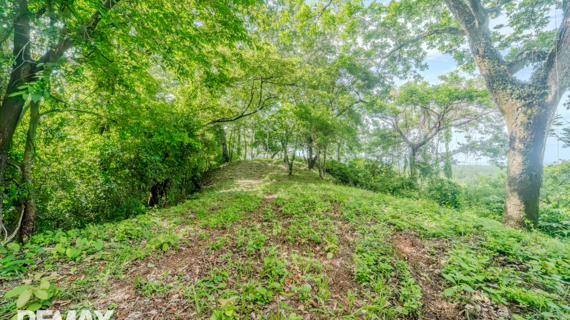 Ostional Guanacaste | REMAX
