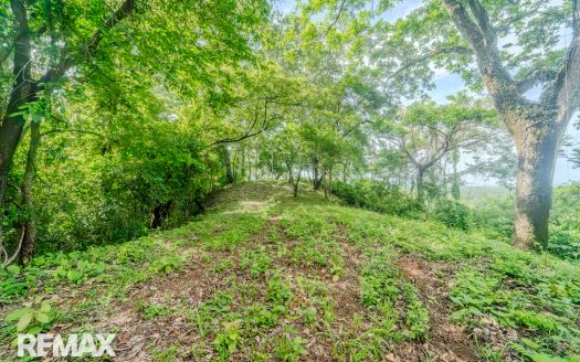 Ocean-View Estate Lot with Custom Home Design in Alta Mira, Ostional