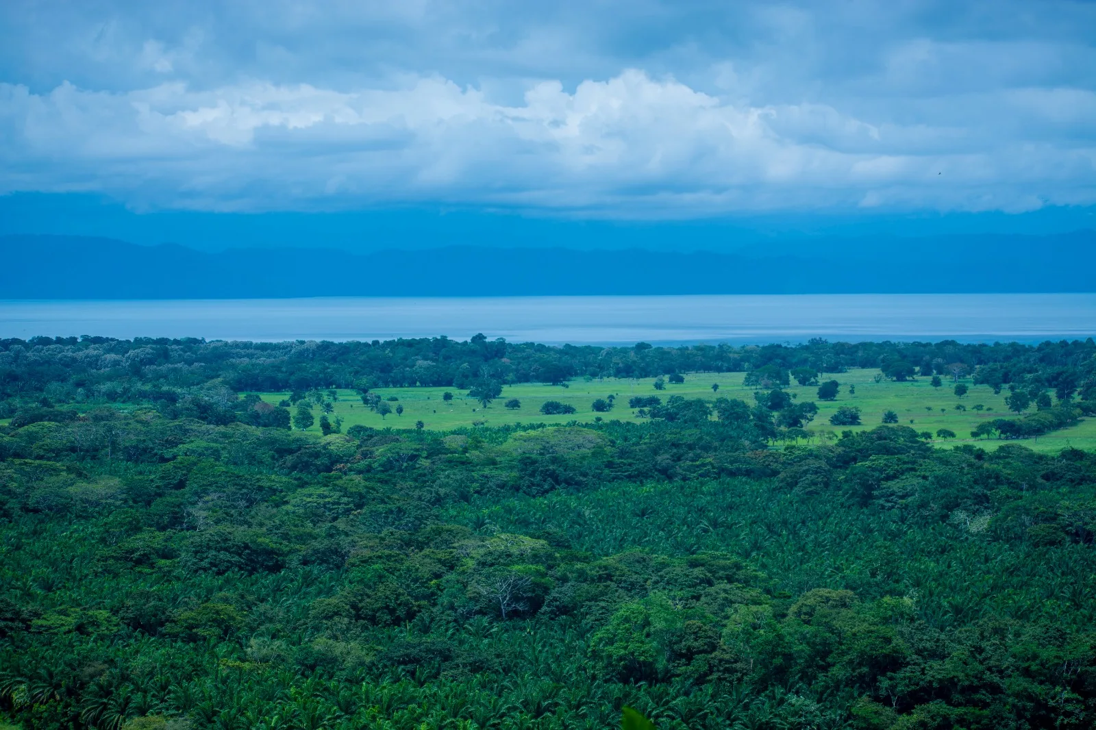 Ocean View Property Osa Peninsula Costa Rica – 1,095 Acres Near Corcovado