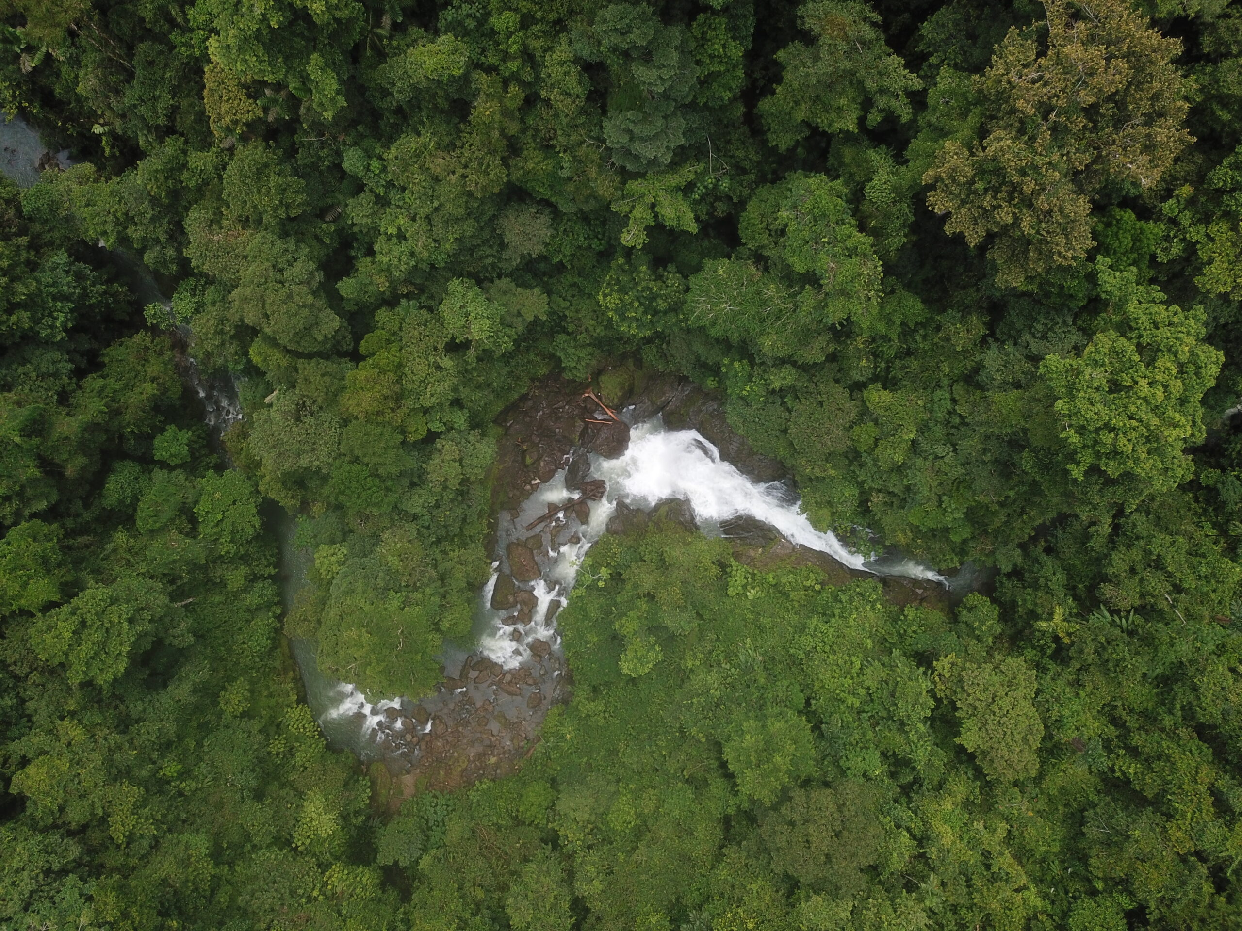 Drake Bay Eco-Lodge Property for Sale – The Jungle Getaway