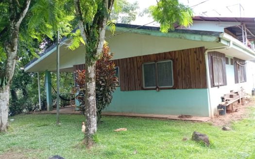 NEW PRICE: 20% OFF | Nature Lover’s Retreat on the Road to Puerto Jiménez