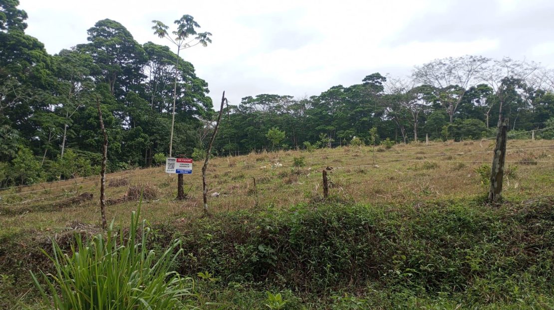 Costa Rica Real Estate