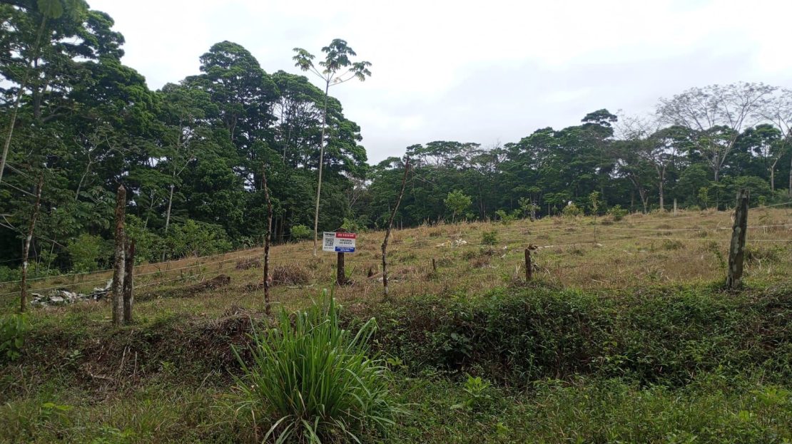 298 m² lot near Rio Celeste