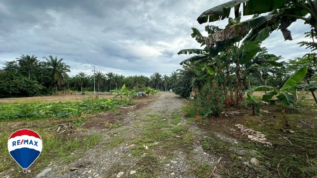 Parrita For Sale 85998 | RE/MAX Costa Rica Real Estate