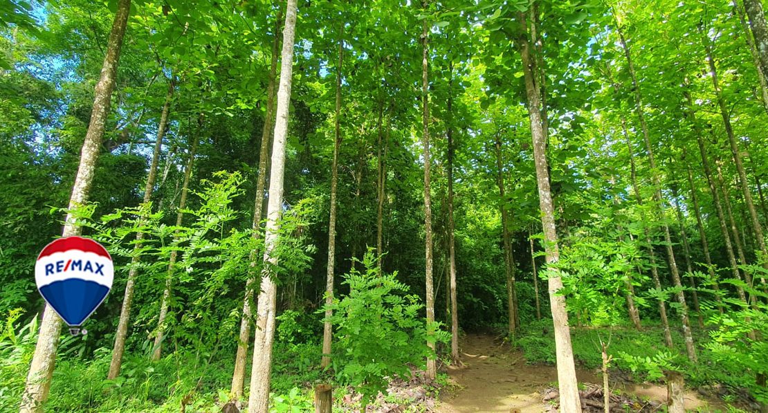 Parrita For Sale 87469 | RE/MAX Costa Rica Real Estate