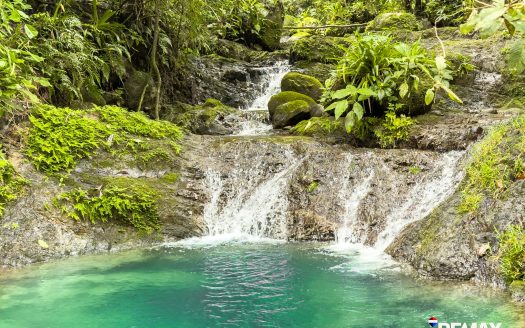 Ocean View Farmland | 80 Acres, Waterfalls, Jungle