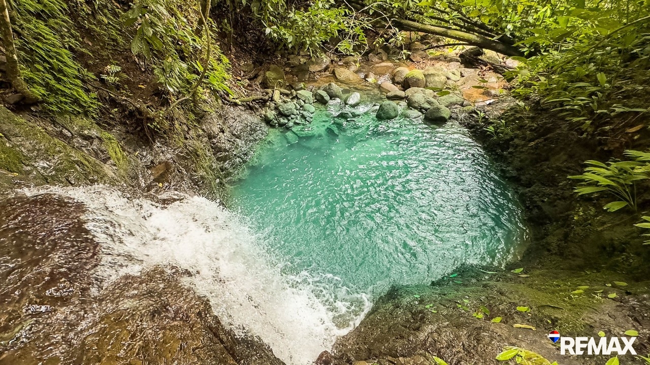 Ocean View Farmland | 80 Acres, Waterfalls, Jungle