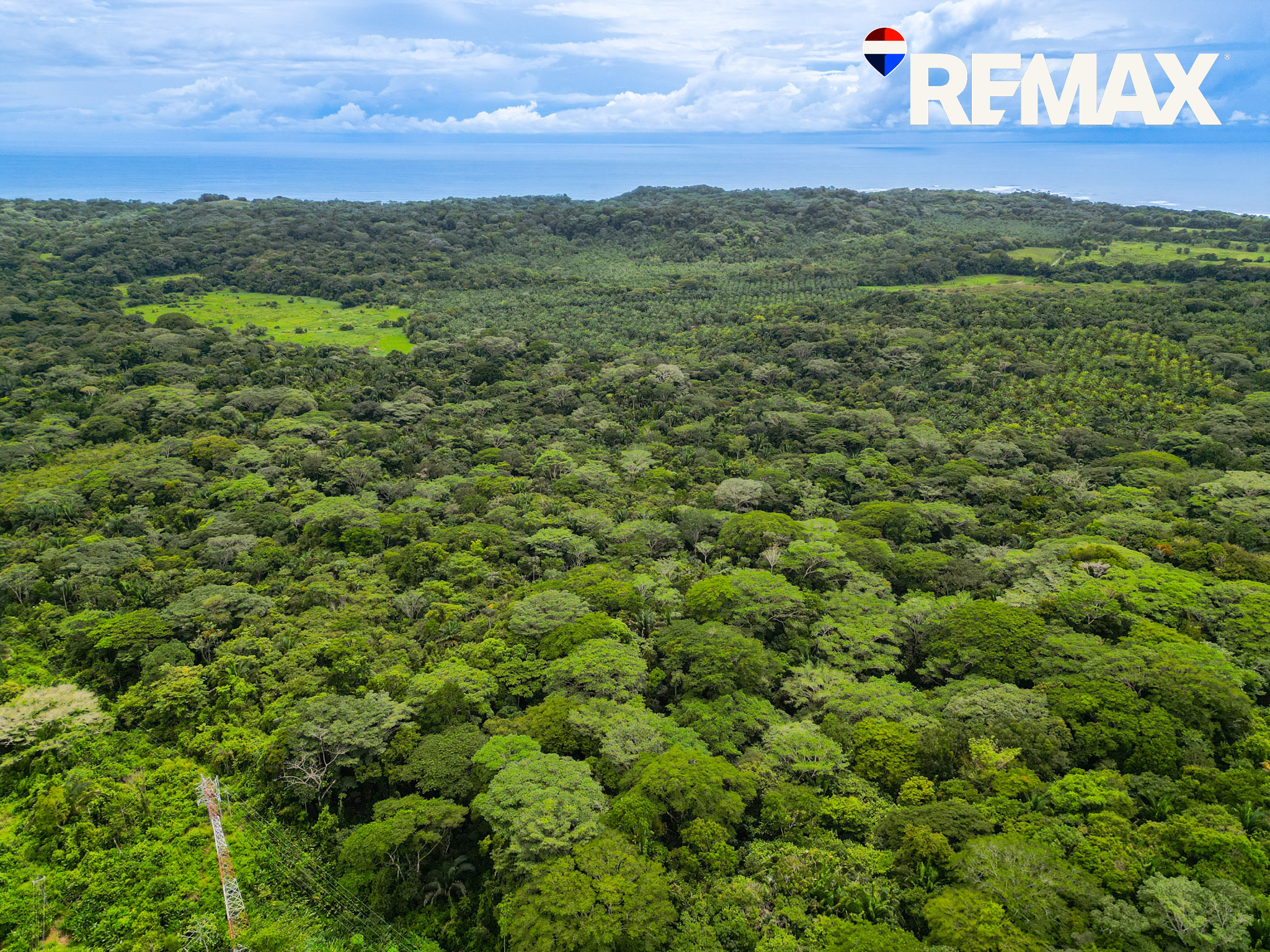Beachside Farmland Investment | 40 Hectares
