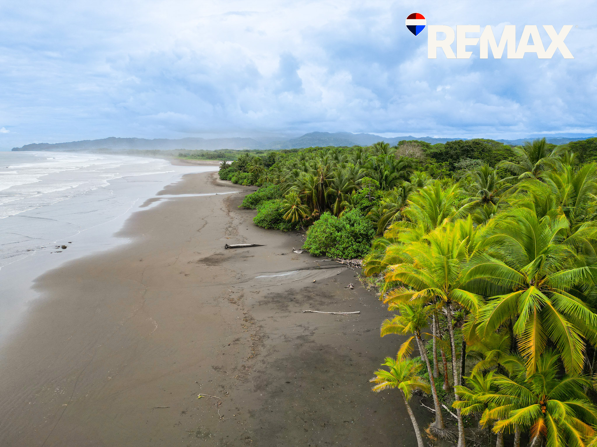 Esterillos Farmland Investment | 65 Hectares