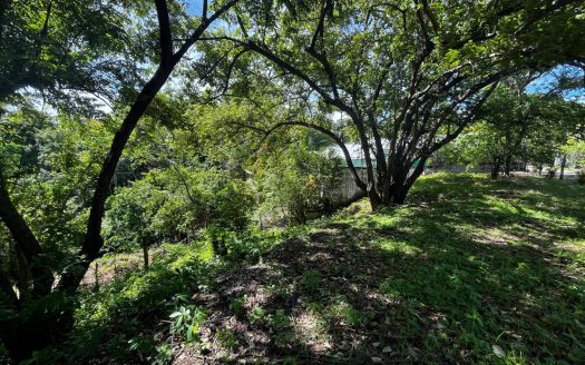 Prime Lot in the Heart of Puerto Carrillo