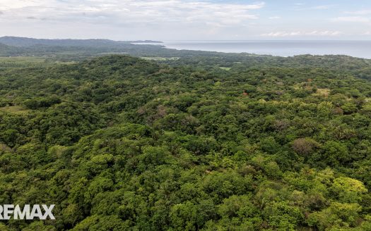 Private Homesite in Bellazo Community –  Ostional Guanacaste | REMAX