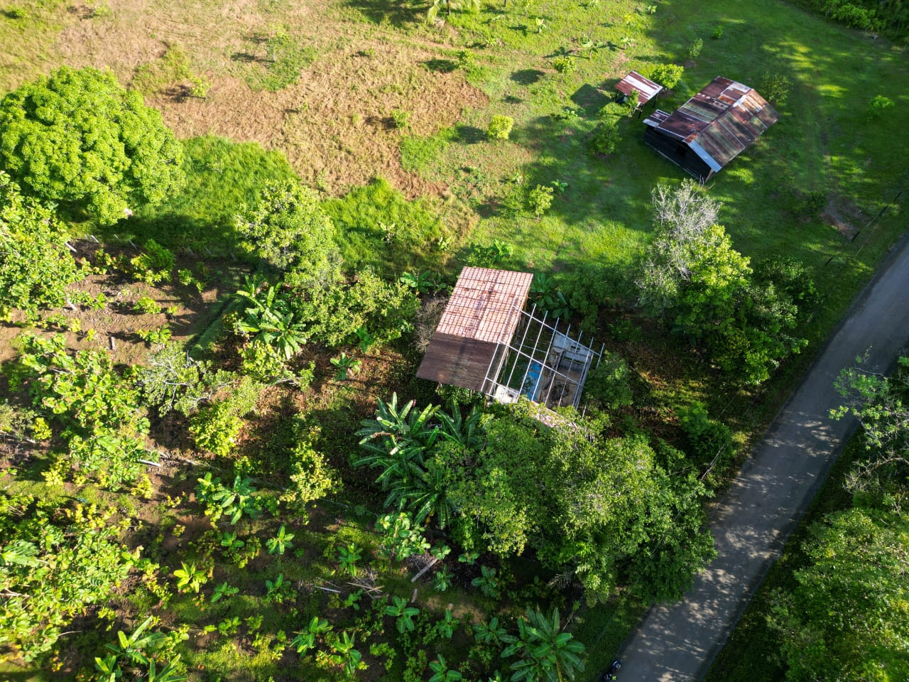 Guadalupe La Palma Lot for Sale – Near Playa Blanca &amp; Corcovado
