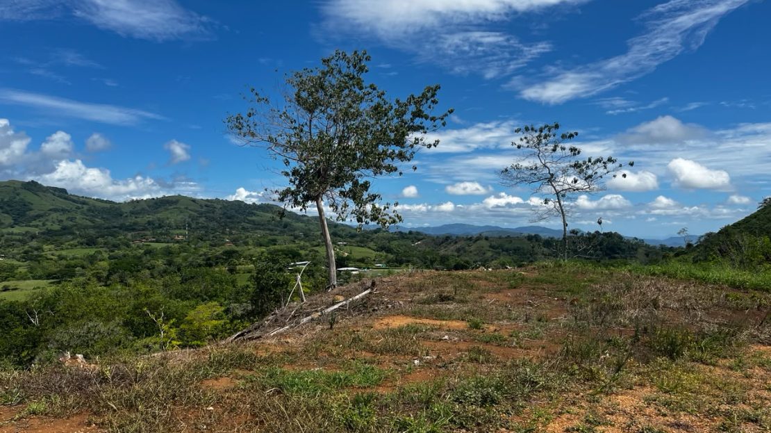 Island & Mountain Views Guanacaste | REMAX