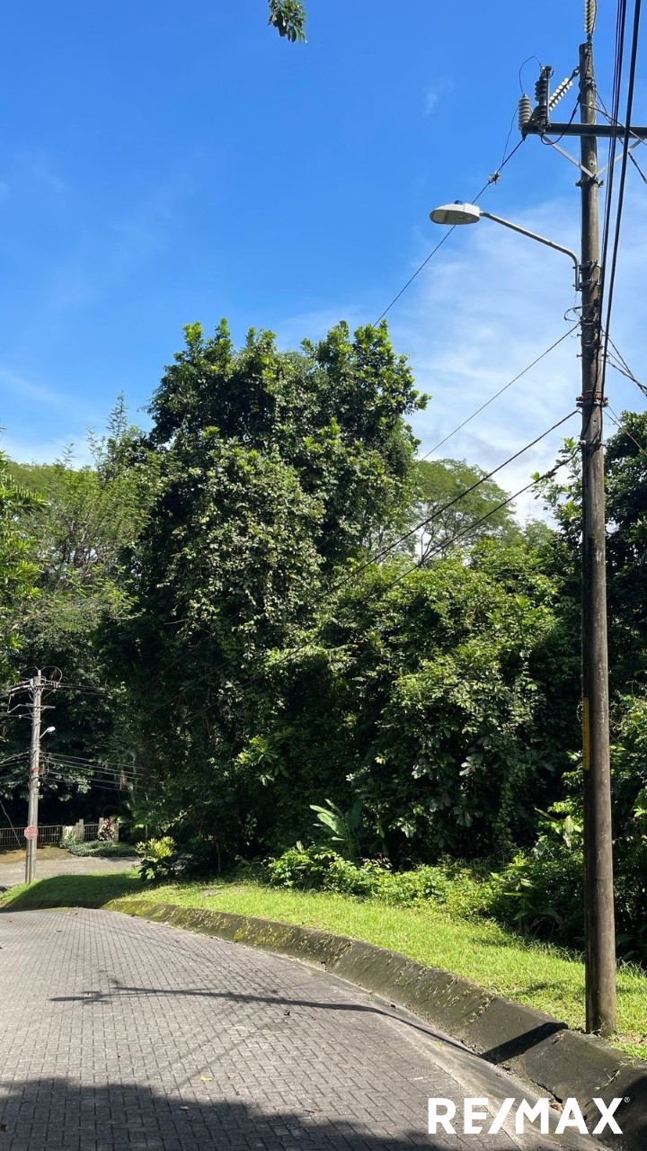 Costa Montaña Nature Lot