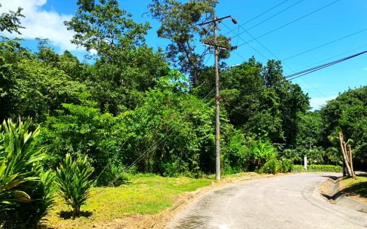 One Acre Flat Lot Ready to Build