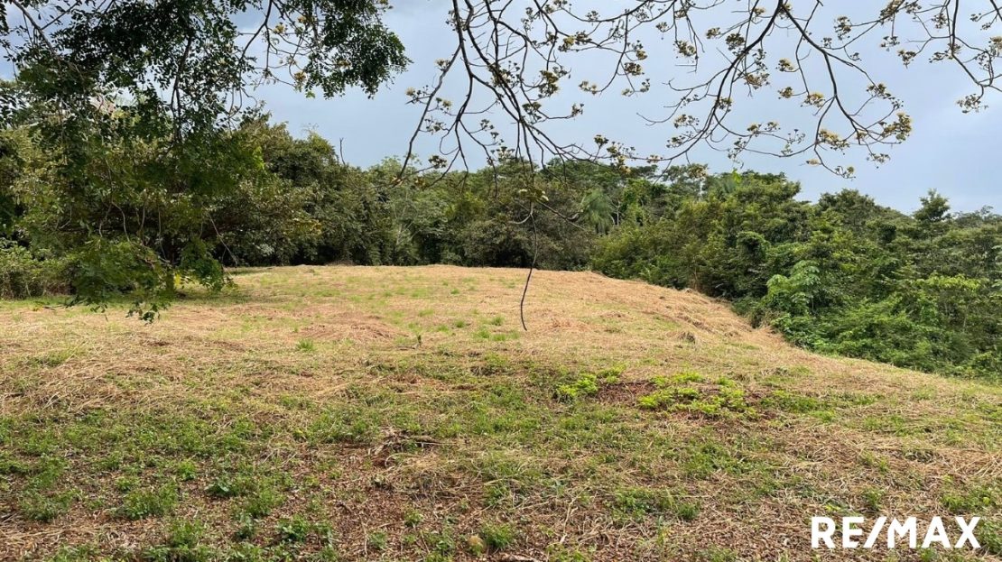 Tárcoles For Sale 89354 | RE/MAX Costa Rica Real Estate