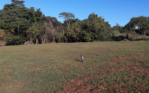 Tárcoles>Bajamar For Sale 76662 | RE/MAX Costa Rica Real Estate