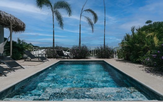 Villa Caribe – Luxury Ocean View Estate with Proven Rental Income in Sámara, Costa Rica