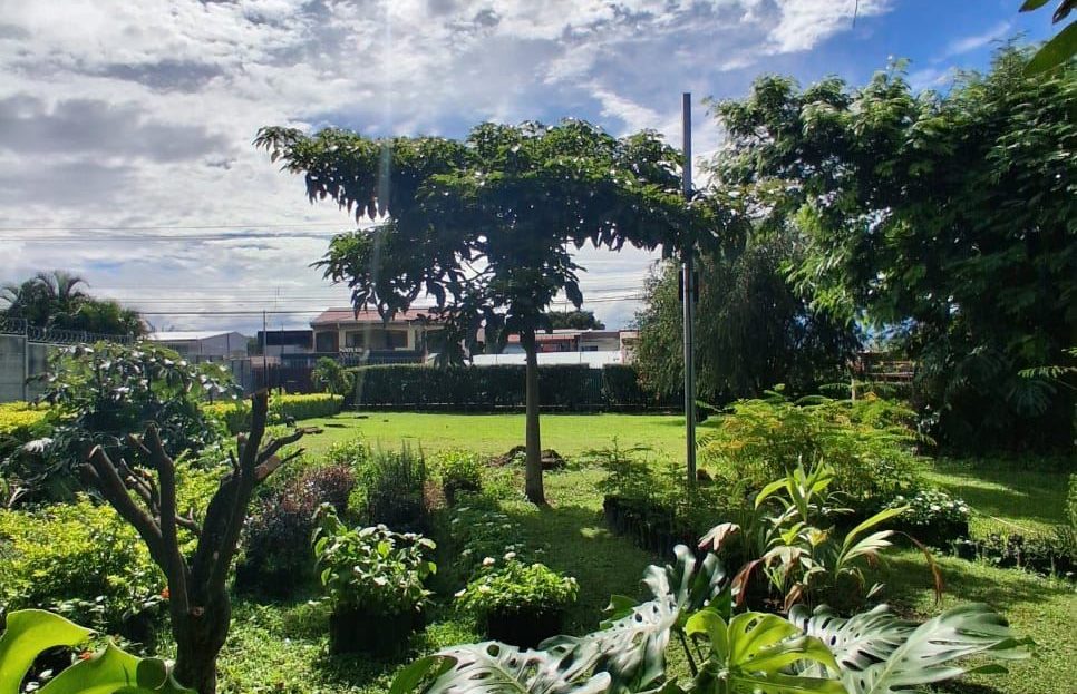 Spacious Lot for Sale in Desamparados