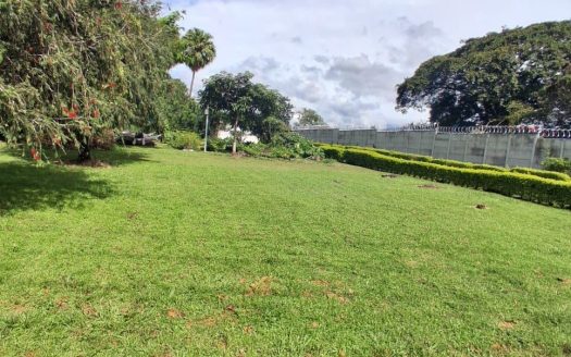 Alajuela