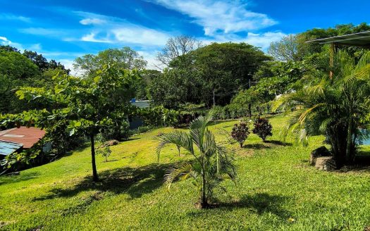 Home and guest home on 1/3 acre ideally located near everything