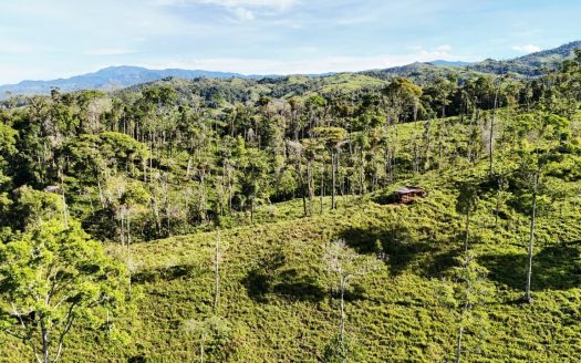 For Sale: The Crown Jewel of Santa Elena Hills – Lot 8 16 Hectares of Elevated Luxury, Supreme Views, and Pure Nature.