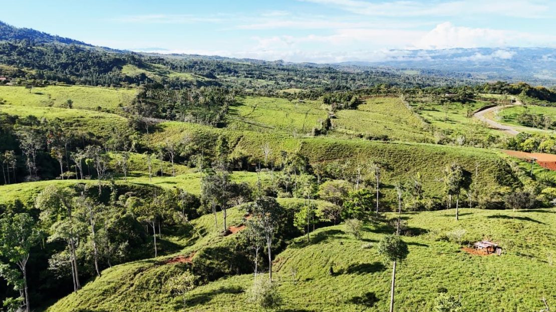 For Sale: The Crown Jewel of Santa Elena Hills – Lot 8 16 Hectares of Elevated Luxury