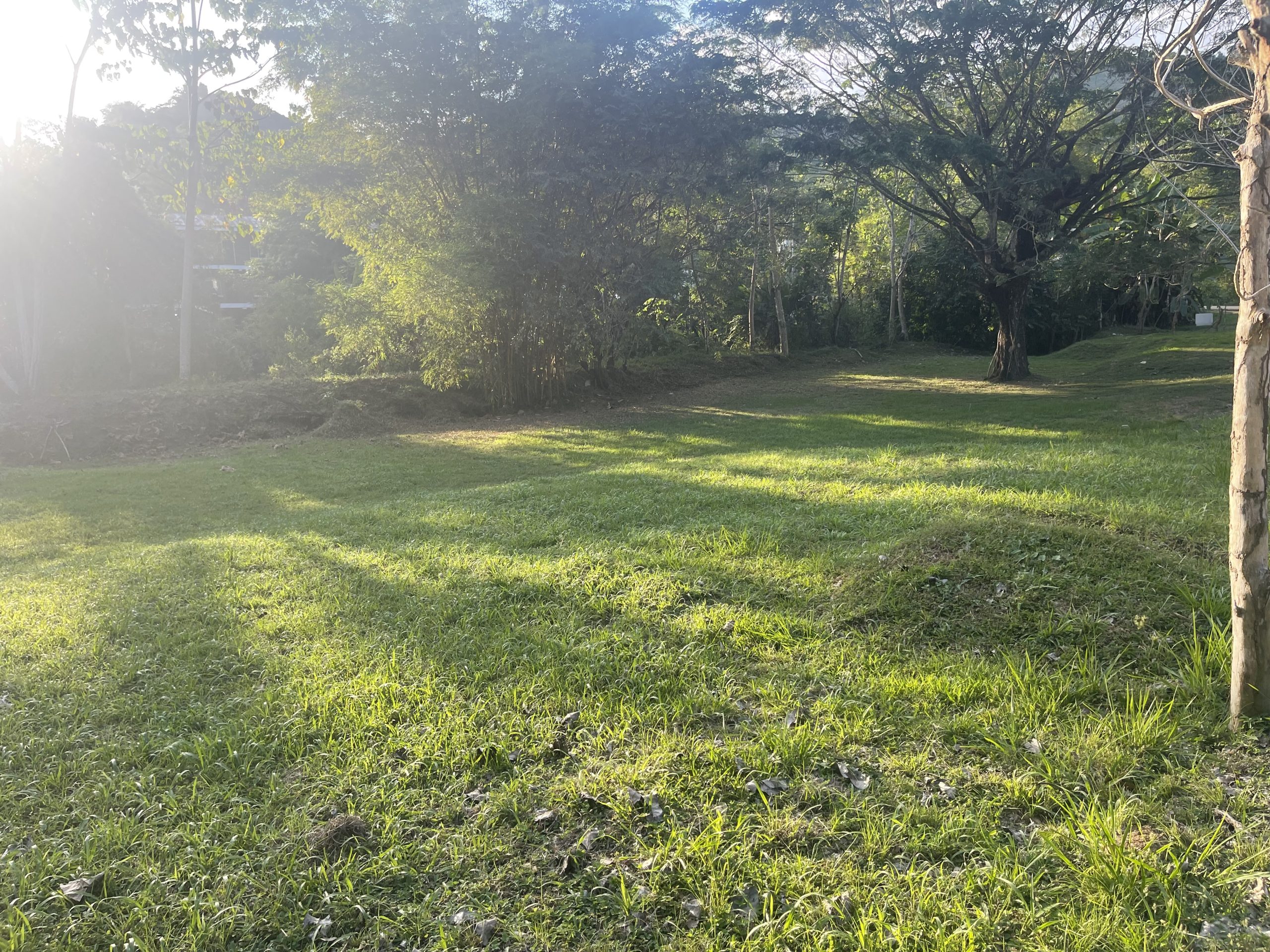 Dream river opportunity