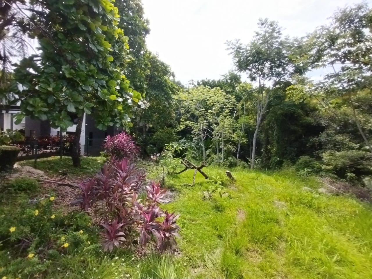 Great Opportunity 2300 Square Meters Lot- Near the Beach and Costa Esterillos