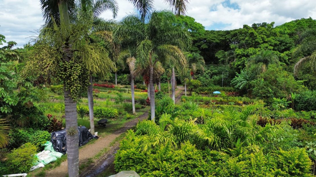 Land for Sale with House for Renovation – Barrio San José