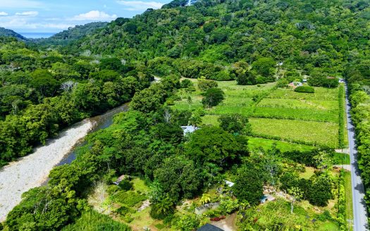 38.95-Acre Flat Farm Near Dominical, Costa Rica | Prime Development & Investment Opportunity