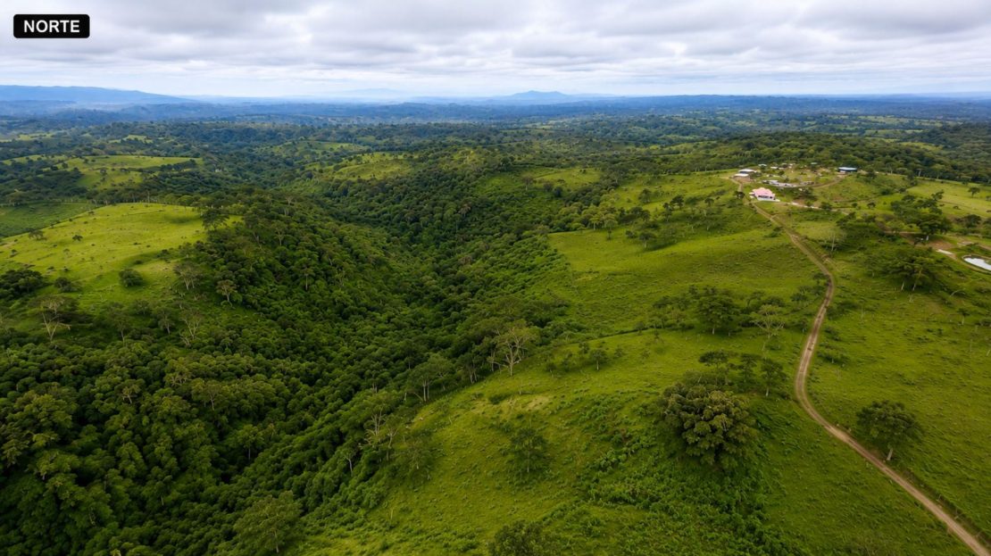 La Cruz