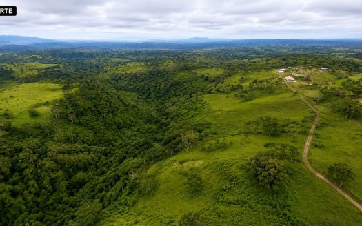 La Cruz