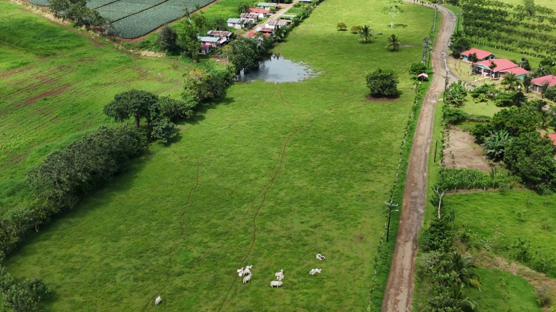 Costa Rica Real Estate