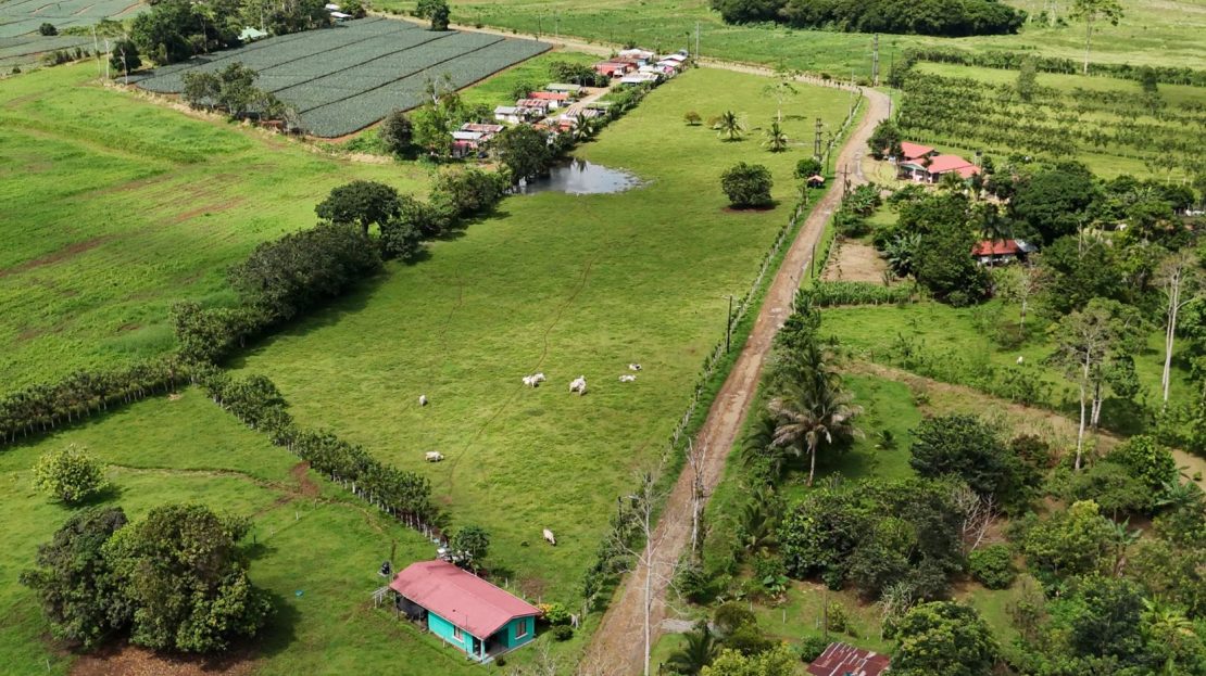 Sarapiquí – 1