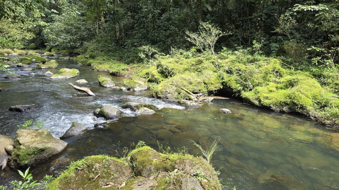 Costa Rica Real Estate