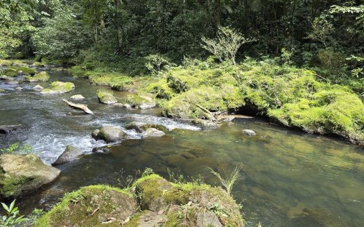 A Sanctuary of Ecological Connectivity and Ecotourism Opportunity in Sarapiquí