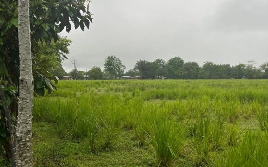 Property for residential development