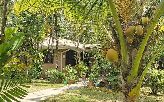 Tropical Estate Near Tambor – 2 Homes, Pool, Tilapia Pond & Fruit Orchard on 5+ Hectares of Land