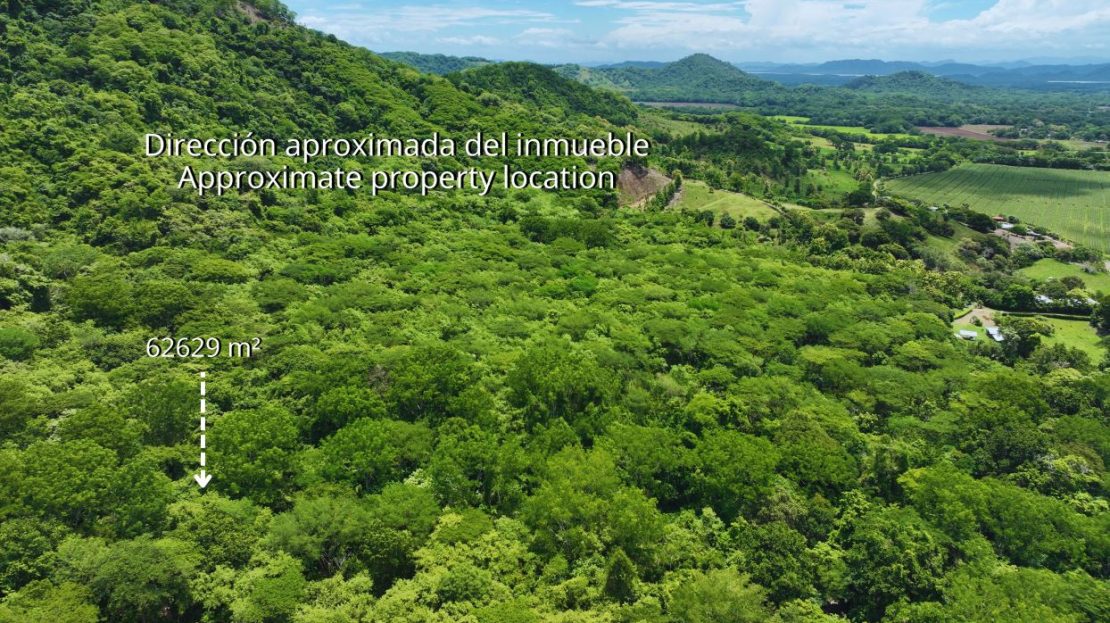 6.26-Hectare Productive Cacao Farm in Pilas de Canjel