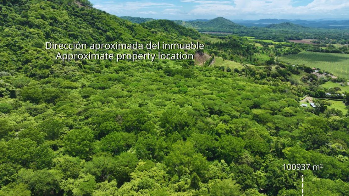 10.09-Hectare Cacao Plantation with Active Production in Pilas de Canjel