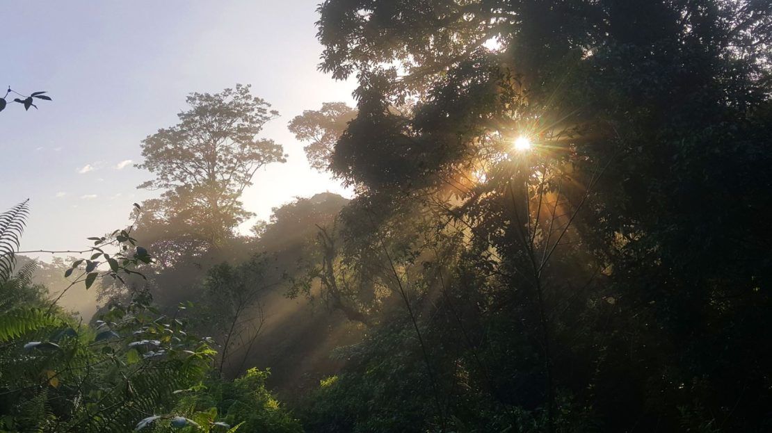 A Sanctuary of Ecological Connectivity and Ecotourism Opportunity in Sarapiquí