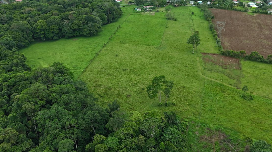 Unbeatable Value in Sarapiquí: 6.4-Acre Double-Lot Estate Near Tirimbina Reserve