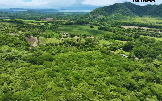 6.26-Hectare Productive Cacao Farm in Pilas de Canjel, Lepanto