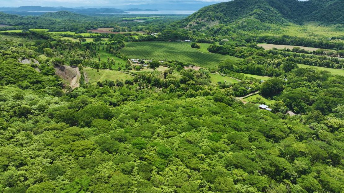 Costa Rica Real Estate