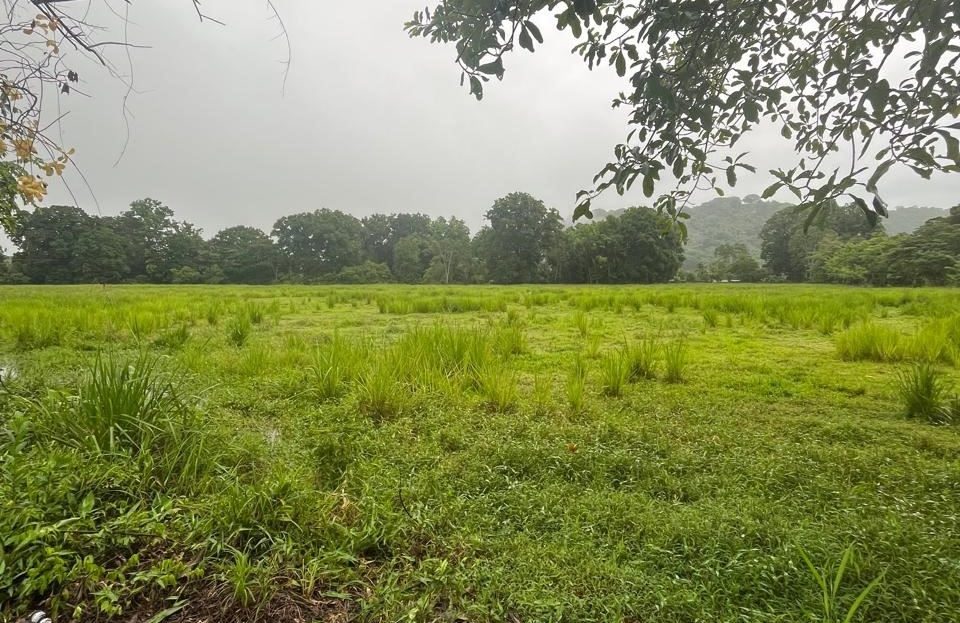Costa Rica Real Estate