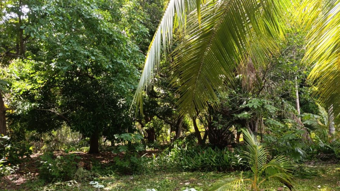 Costa Rica Real Estate