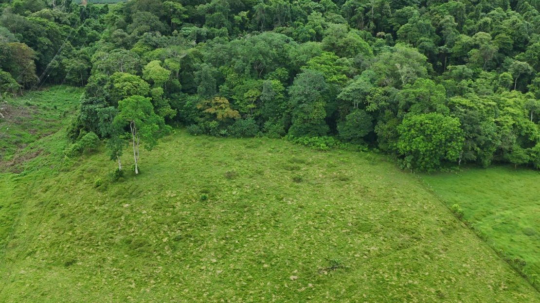 Costa Rica Real Estate